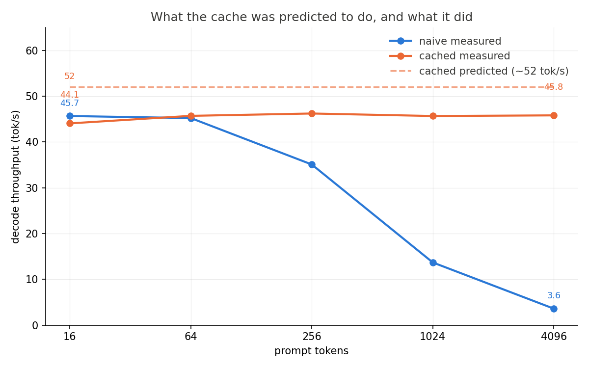 Predicted decode throughput against measured